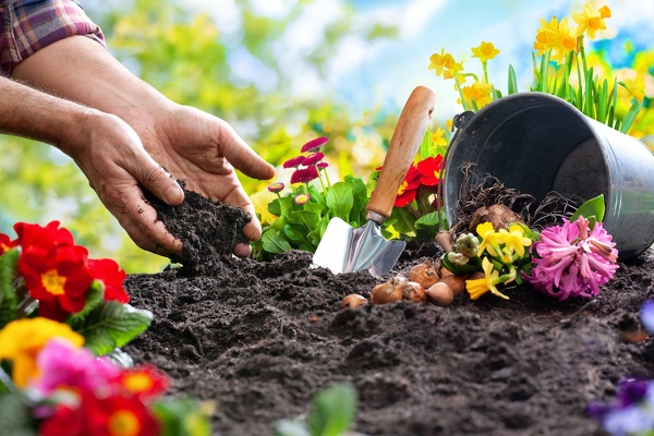 Gardening Gardening